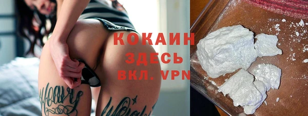 ГАЛЛЮЦИНОГЕННЫЕ ГРИБЫ Ладушкин