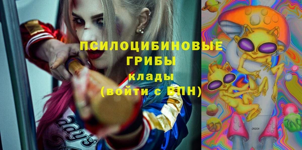 ГАЛЛЮЦИНОГЕННЫЕ ГРИБЫ Ладушкин