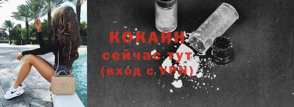 ГАЛЛЮЦИНОГЕННЫЕ ГРИБЫ Ладушкин