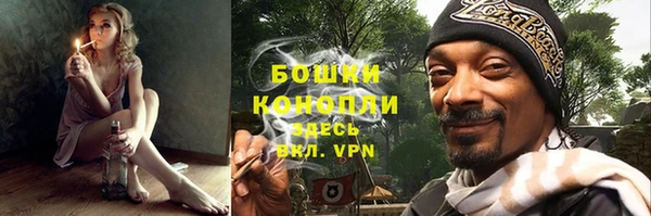 ГАЛЛЮЦИНОГЕННЫЕ ГРИБЫ Ладушкин