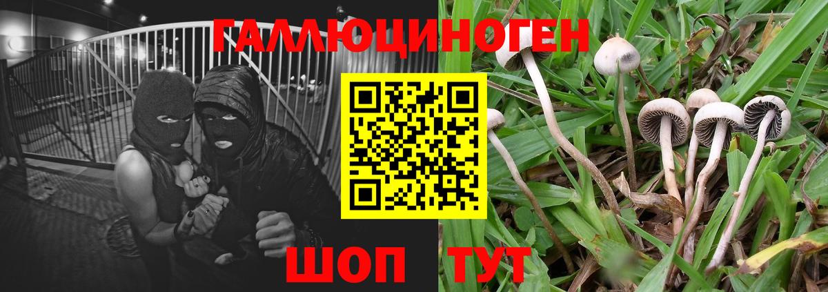 Торжок  Галлюциногенные грибы MAGIC MUSHROOMS  Псилоцибиновые грибы MAGIC MUSHROOMS  Вход с VPN 