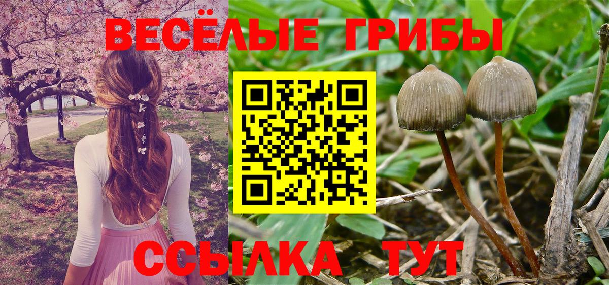 Галлюциногенные грибы мухоморы Торжок