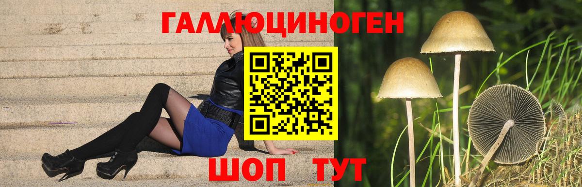 Псилоцибиновые грибы Psilocybine cubensis  Псилоцибиновые грибы ЛСД  Вход с VPN  Торжок 